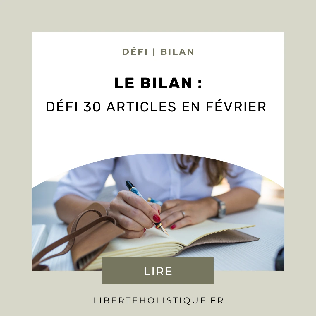 le bilan : Défi 30 articles en février